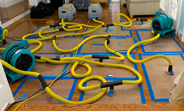 Professional Water Damage Restoration technician working in Forest, OH